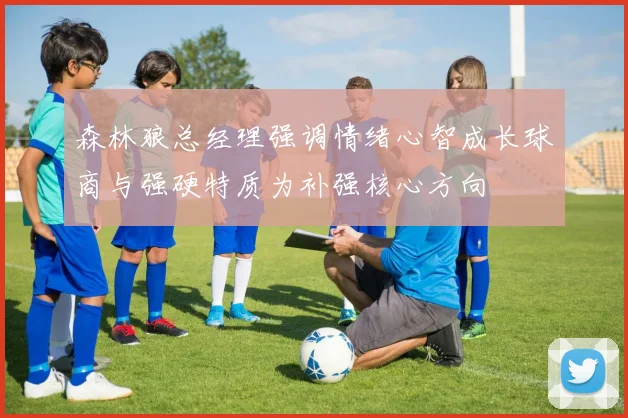 森林狼总经理强调情绪心智成长球商与强硬特质为补强核心方向