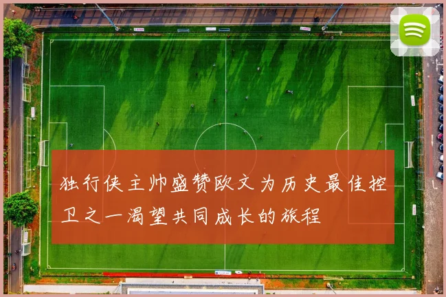 独行侠主帅盛赞欧文为历史最佳控卫之一渴望共同成长的旅程